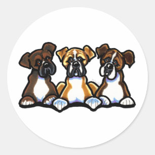 Drie dozen ronde sticker
