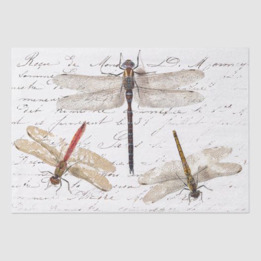 Drie Dragonfly Franse Script Decoupage Tissuepapier (Voorkant)
