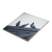 Drie duiven op een dak tegeltje (Zijkant)