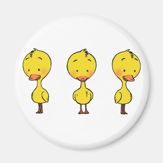 Drie eenden magneet (Voorkant)