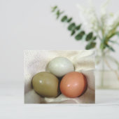 Drie eieren... briefkaart (Staand voorkant)