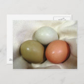 Drie eieren... briefkaart (Voorkant / Achterkant)