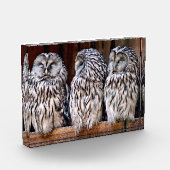 Drie Eigenaars Fotoblokken (Links)