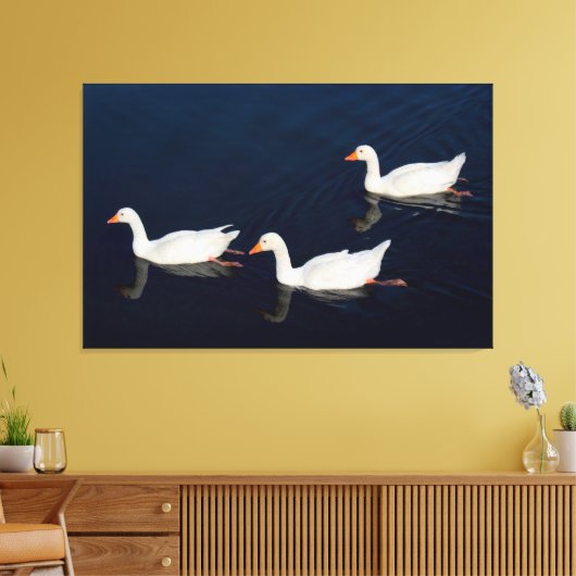 Drie Emden Geese Canvas Afdruk (Insitu (Woonkamer))