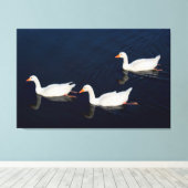 Drie Emden Geese Canvas Afdruk (Insitu (Houten vloer))