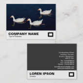 Drie Emden Geese Visitekaartje (Voorkant / Achterkant)
