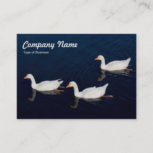 Drie Emden Geese Visitekaartje (Voorkant)