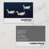 Drie Emden Geese Visitekaartje (Voorkant / Achterkant)