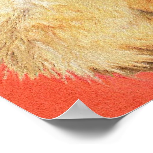 Drie Fennec Fox Kits Poster (Hoek)