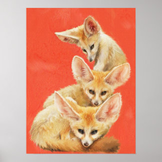 Drie Fennec Fox Kits Poster