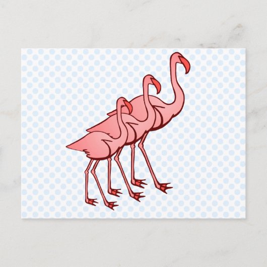 Drie Flamingo's Briefkaart (Voorkant)