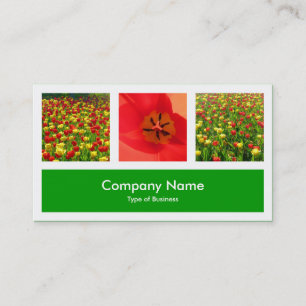 Drie foto's plus één - groen gras visitekaartje