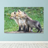 Drie Fox Kits Canvas Afdruk (Insitu (Houten vloer))