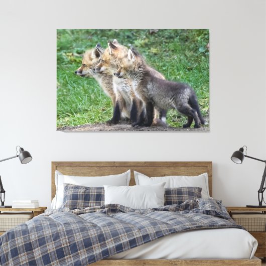 Drie Fox Kits Canvas Afdruk (Insitu (Slaapkamer))