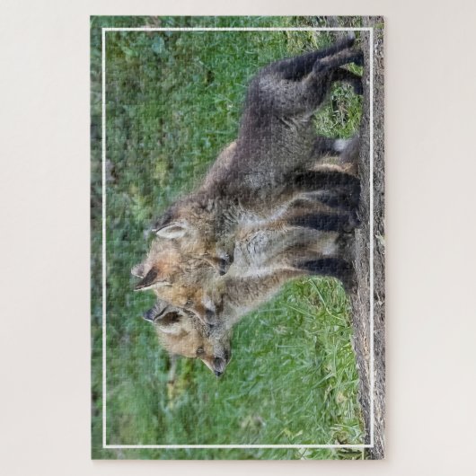Drie Fox Kits Legpuzzel (Verticaal)