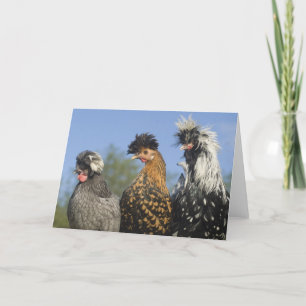 Drie funky Poolse kippen - Funny Birds Kaart