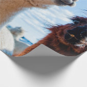 Drie Funny Alpacas Cadeaupapier (Hoek)