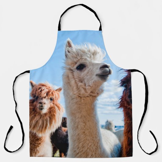 Drie Funny Alpacas Schort (Voorkant)