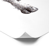 Drie Funny Cheeky Sheep Poster (Hoek)