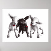 Drie Funny Cheeky Sheep Poster (Voorkant)