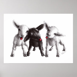 Drie Funny Cheeky Sheep Poster