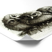 Drie Funny Young Owls handgetekende fijne kunsten Poster (Hoek)