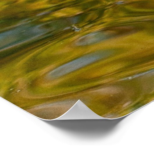 drie ganzen zwemmen poster (Hoek)