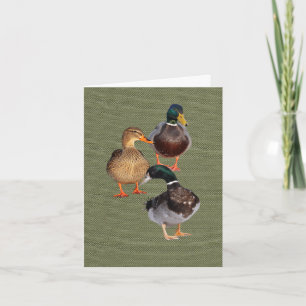 Drie gekke wilde eenden Folded Wenskaart Kaart
