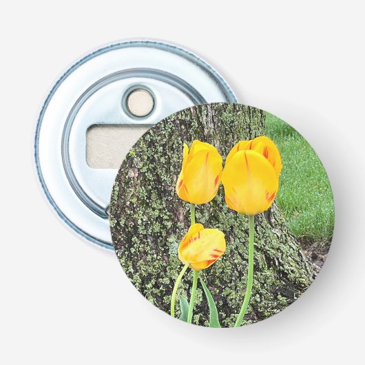 Drie gele tulpen / button flesopener (Voorkant)
