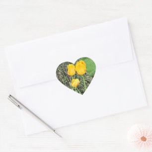 Drie gele tulpen / hart sticker