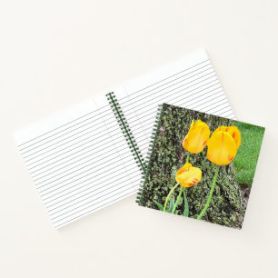 Drie gele Tulpen / Journal Notitieboek