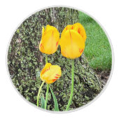 Drie gele tulpen / keramische knop (Voorkant)