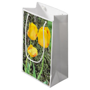 Drie gele tulpen / klein cadeauzakje