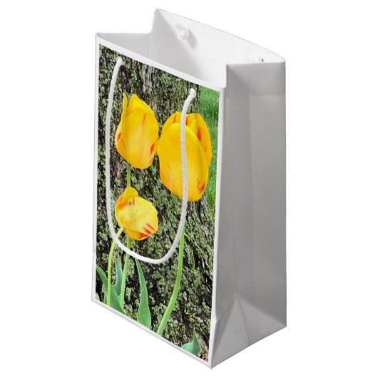 Drie gele tulpen / klein cadeauzakje (Voorkant Gekanteld)
