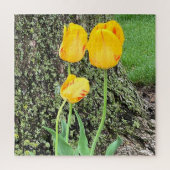 Drie gele tulpen / legpuzzel (Verticaal)