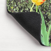 Drie gele tulpen / muismat (Hoek)