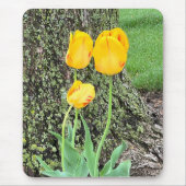 Drie gele tulpen / muismat (Voorkant)