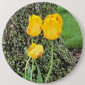 Drie gele tulpen / ronde button 6,0 cm (Voorkant)