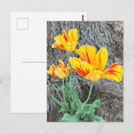 Drie gele Tulpen Sequel / Briefkaart