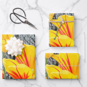 Drie gele Tulpen Sequel / Inpakpapier Vel
