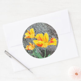Drie gele Tulpen Sequel / Ronde Sticker