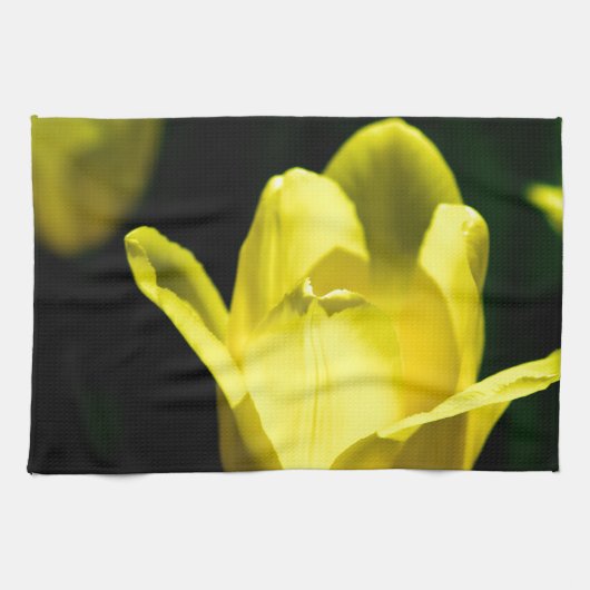 Drie gele tulpen theedoek (Horizontaal)