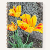 Drie gele Tulps Sequel / Journal Notitieboek (Voorkant)