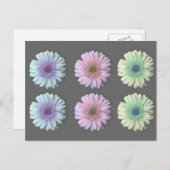 Drie Gerbera Daisy Briefkaart (Voorkant / Achterkant)