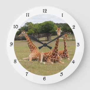 Drie Giraffe bij Fossil Rim Wall Clack Grote Klok