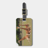Drie Giraffe op Fossil Rim Bagagelabel (Voorkant verticaal)