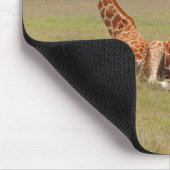 Drie Giraffe op Fossil Rim Muismat (Hoek)