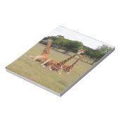 Drie Giraffe op Fossil Rim Notitieblok (Gedraaid)
