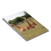 Drie Giraffe op Fossil Rim Notitieboek (Rechterzijde)