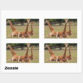 Drie Giraffe op Fossil Rim Rechthoekige Sticker (Vel)